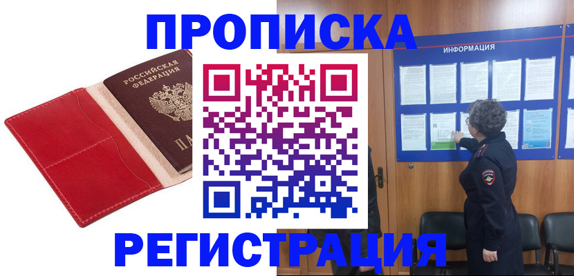 прописка в квартире в Звенигово